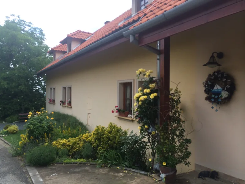 Zahrada podél penzionu